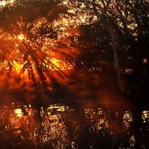 2 Day Kakadu Small Group Tour